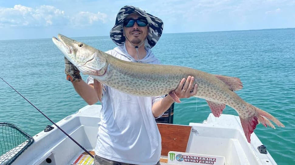 Big Musky Catch Reaper Musky Charters guide holding a trophy musky caught near Tilbury, Ontario